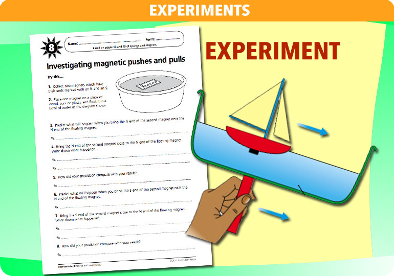 Curriculum Visions teacher magnets and springs resource