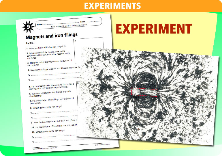 Curriculum Visions teacher magnets and springs resource