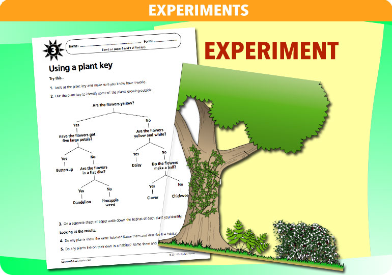 Curriculum Visions teacher habitats resource