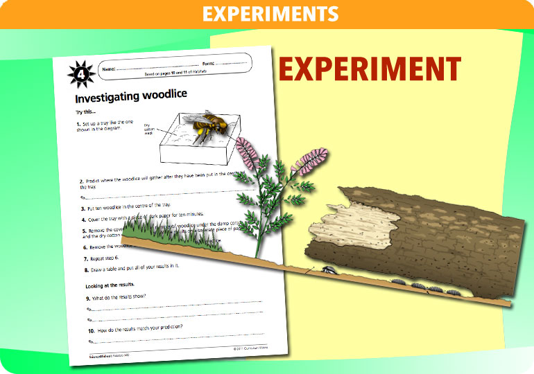 Curriculum Visions teacher habitats resource