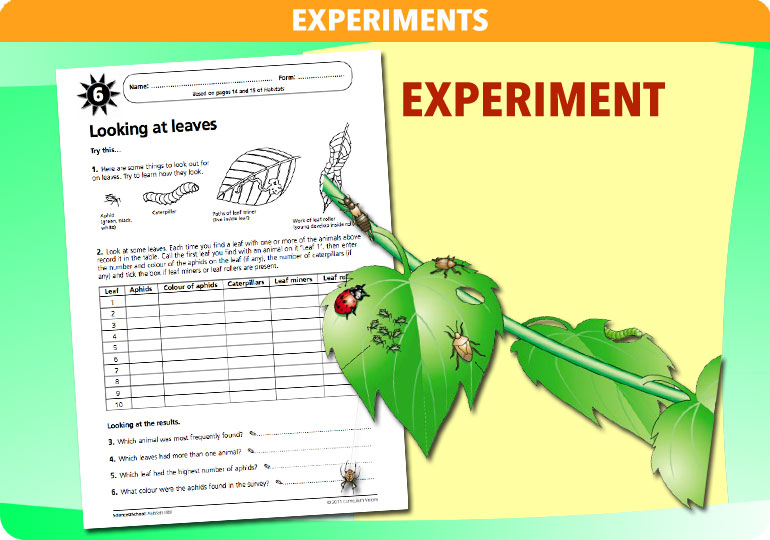 Curriculum Visions teacherhabitats resource