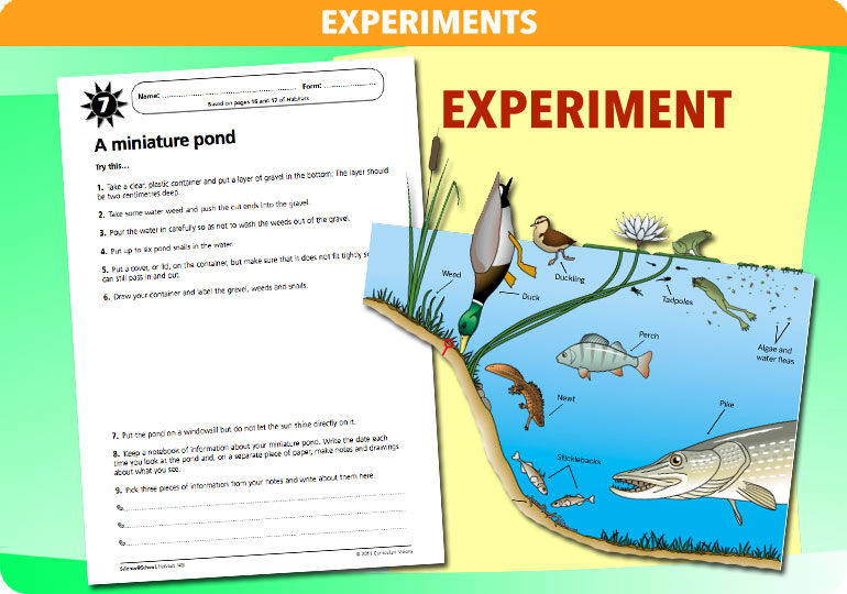 Curriculum Visions teacher habitats resource