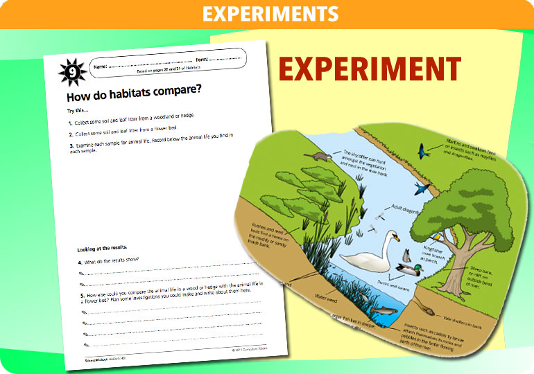 Curriculum Visions teacher habitats resource