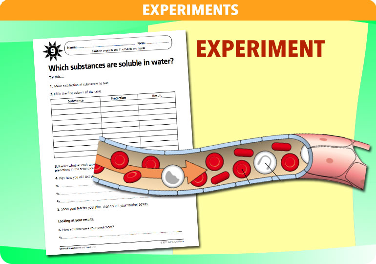 Curriculum Visions teacher solids and liquids resource