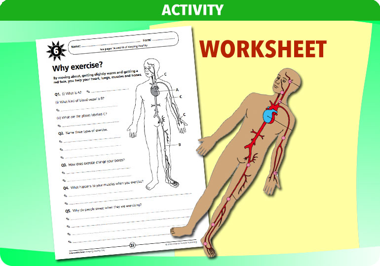 Curriculum Visions teacher keeping healthy resource