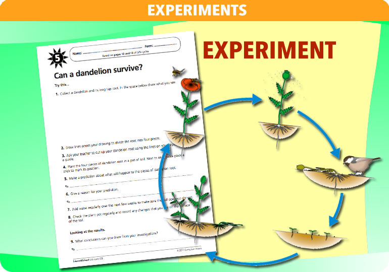 Curriculum Visions teacher life cycles resource