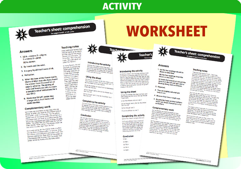 Curriculum Visions teacher life cycles resource