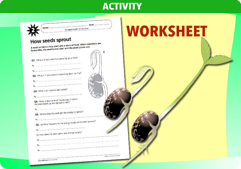 Curriculum Visions teacher life cycles resource