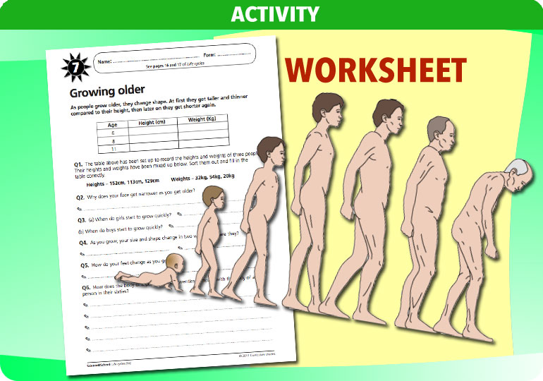 Curriculum Visions teacher life cycles resource