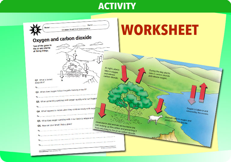 Curriculum Visions teacher gases around us resource