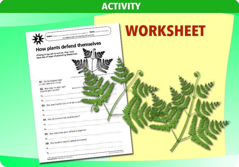 Curriculum Visions teacher adapting and surviving resource