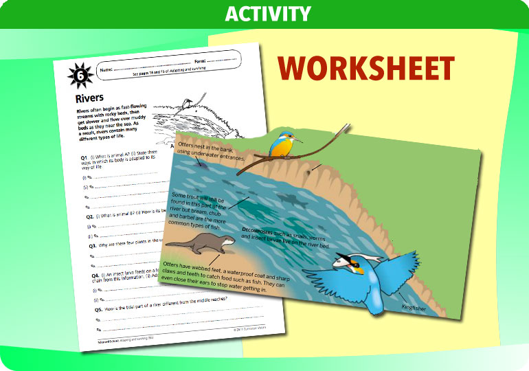 Curriculum Visions teacher adapting and surviving resource