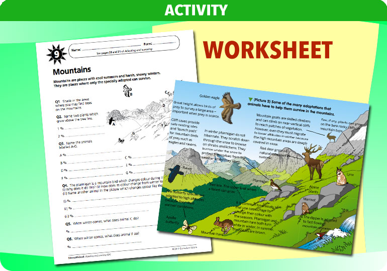 Curriculum Visions teacher adapting and surviving resource