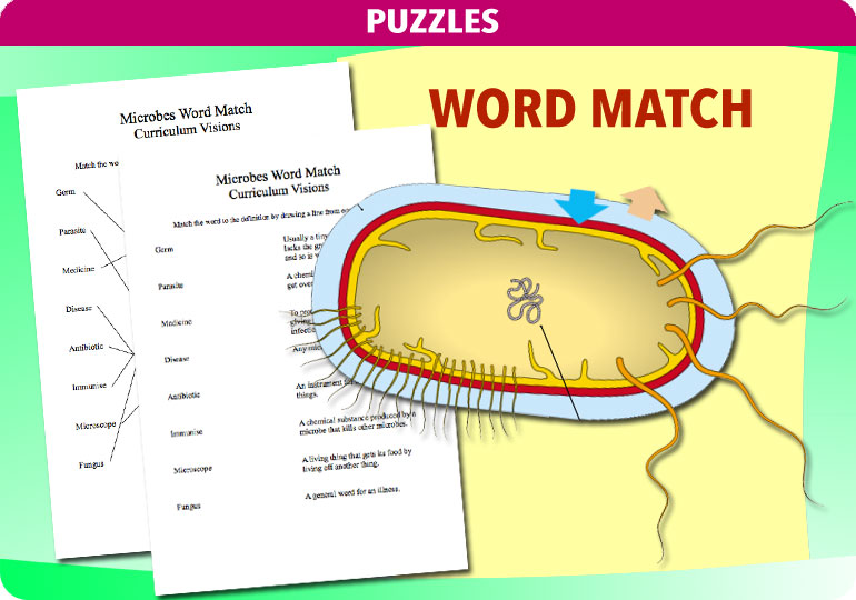 Curriculum Visions teacher microbes resource