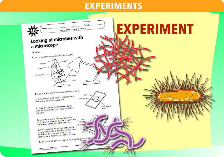 Curriculum Visions teacher microbes resource