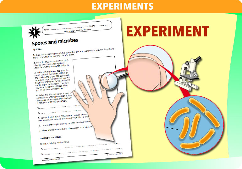 Curriculum Visions teacher microbes resource