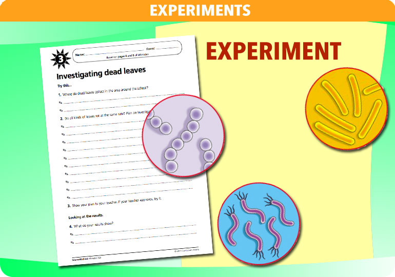 Curriculum Visions teacher microbes resource