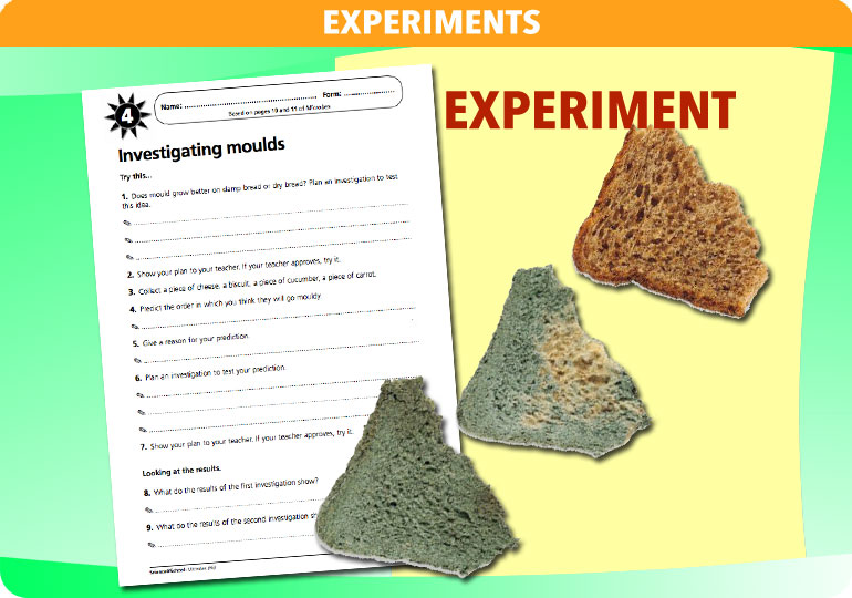 Curriculum Visions teacher microbes resource