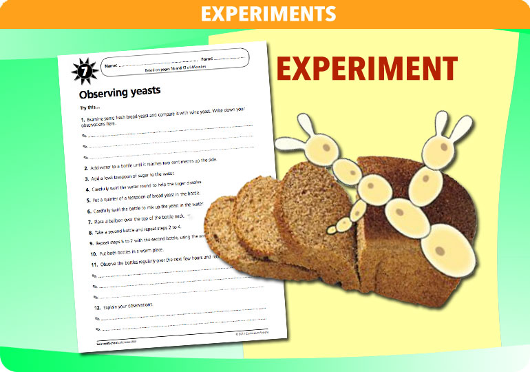 Curriculum Visions teachermicrobes resource