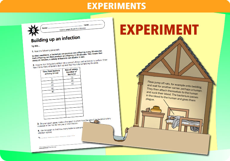 Curriculum Visions teacher microbes resource