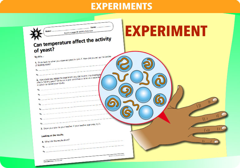 Curriculum Visions teacher microbes resource