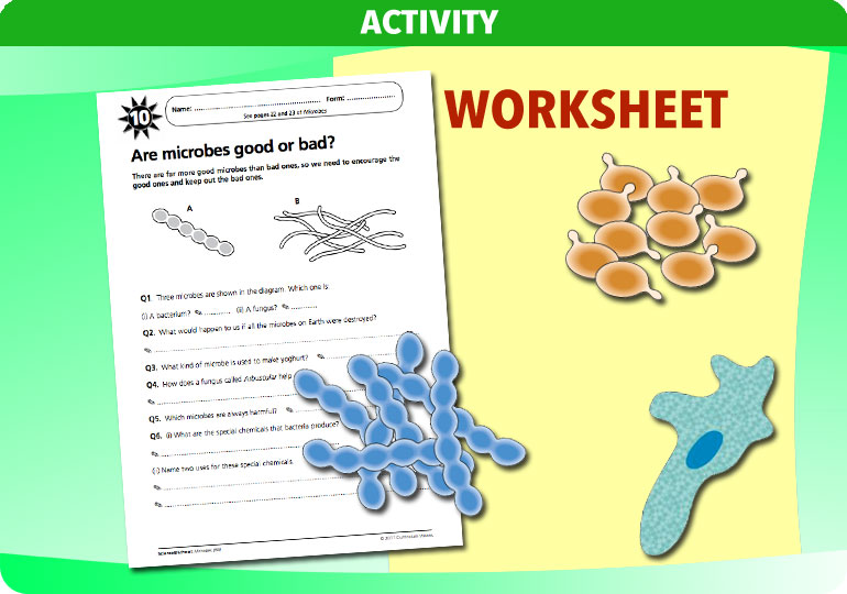 Curriculum Visions teacher microbes resource