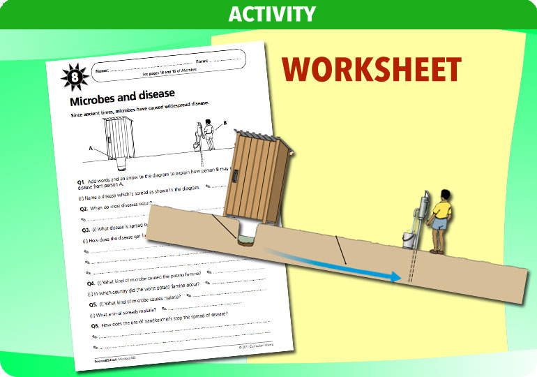 Curriculum Visions teacher microbes resource