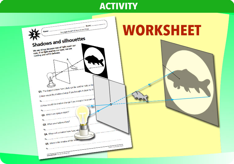 Curriculum Visions teacher how we see things resource