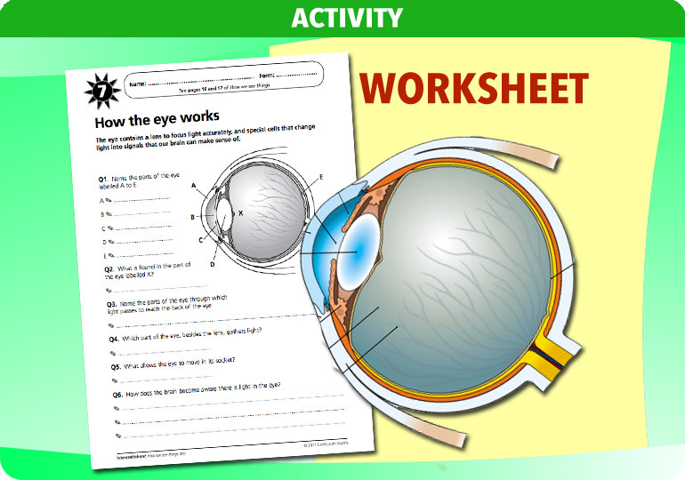 Curriculum Visions teacher how we see things resource