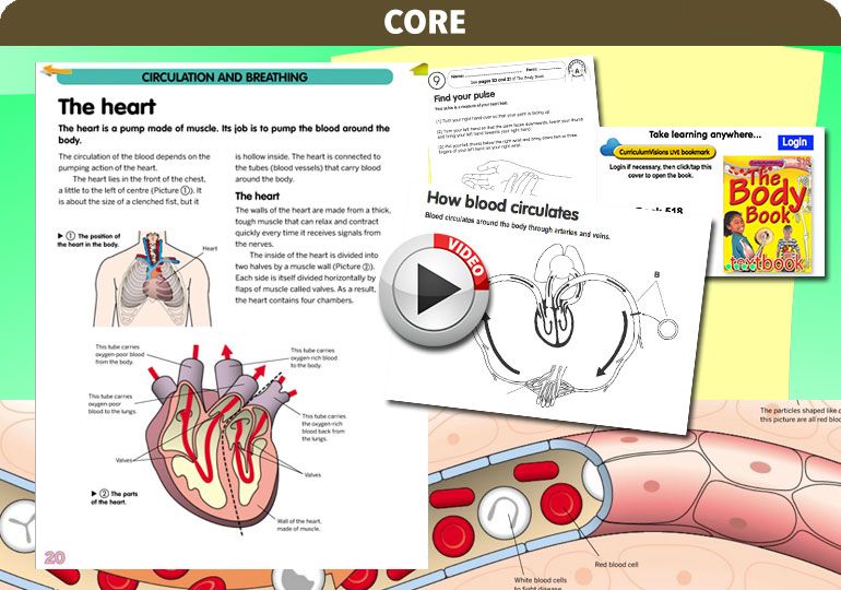 Curriculum Visions teacher the human body science resource