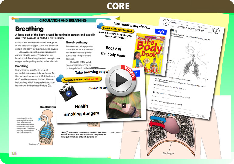 Curriculum Visions teacher the human body science resource