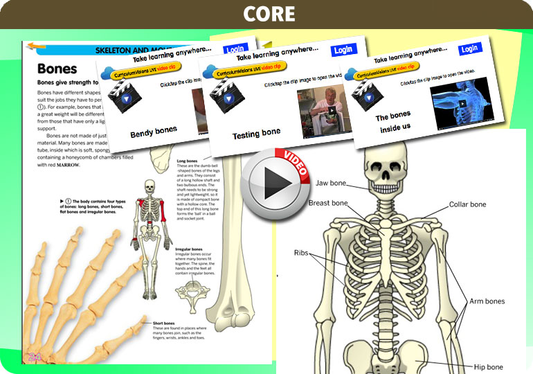 Curriculum Visions teacher the human body science resource