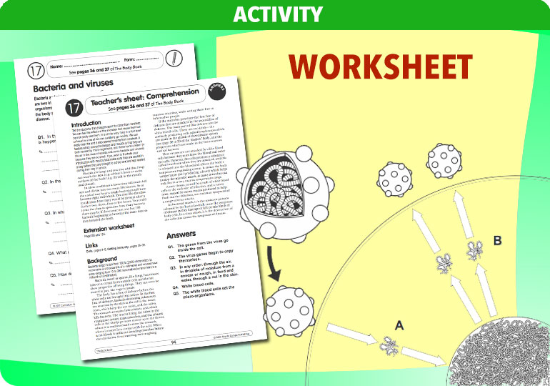 Curriculum Visions teacher the human body science resource