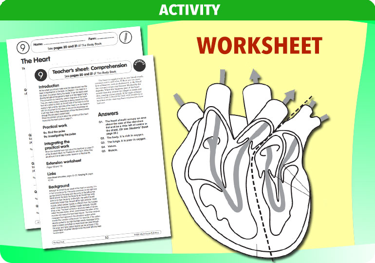 Curriculum Visions teacher the human body science resource