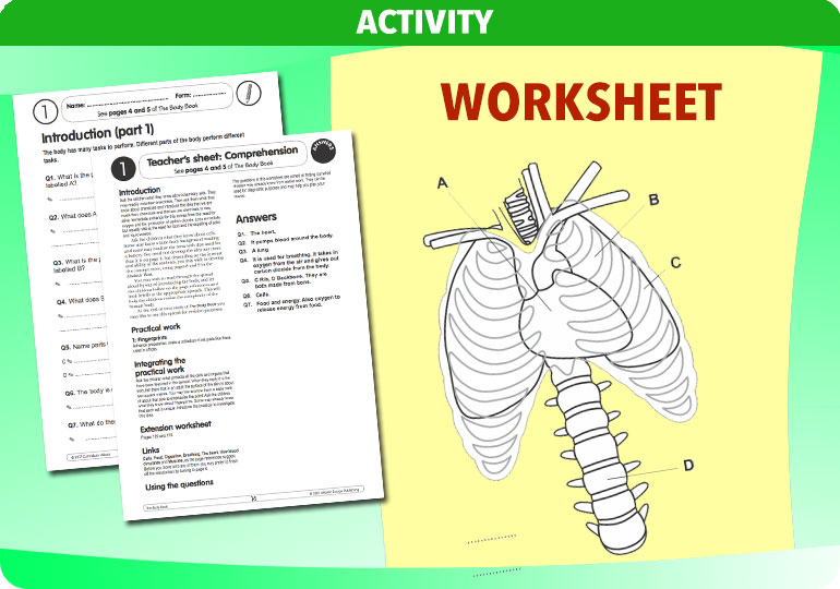 Curriculum Visions teacher the human body science resource