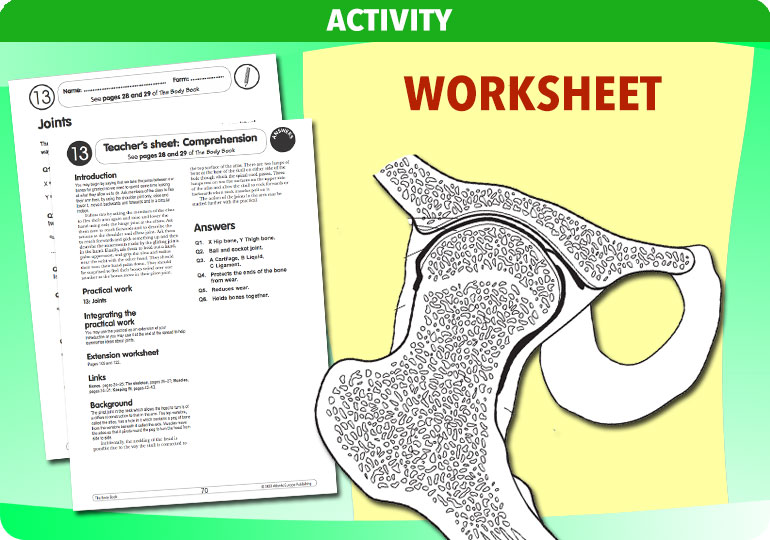 Curriculum Visions teacher the human body science resource