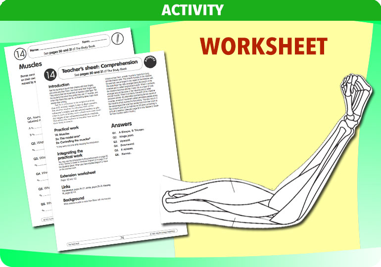 Curriculum Visions teacher the human body science resource