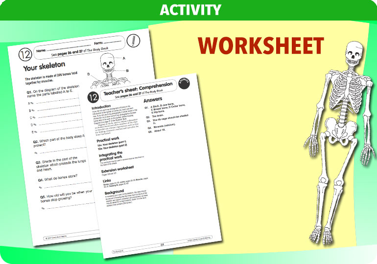 Curriculum Visions teacher the human body science resource