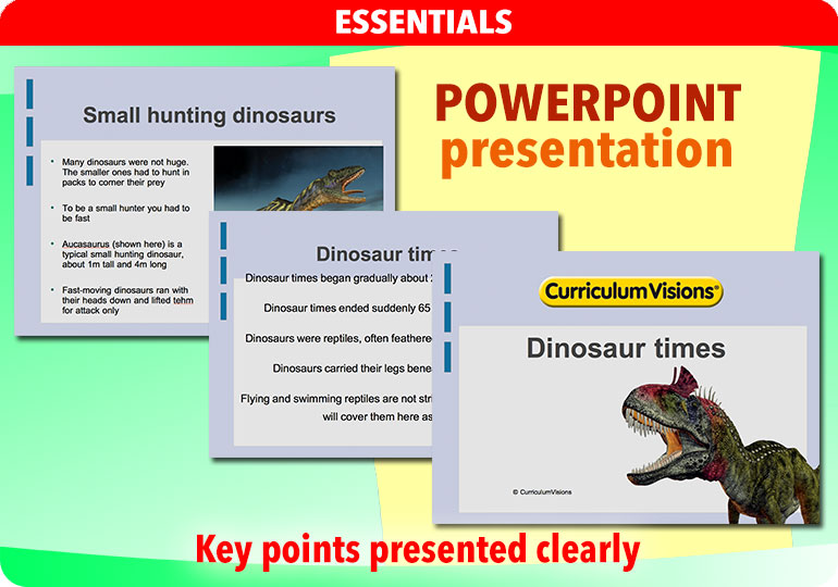 dinosaur curriculum for elementary
