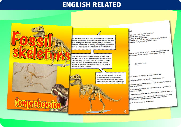 Curriculum Visions teacher dinosaurs, fossils, evolution, science history geography resource