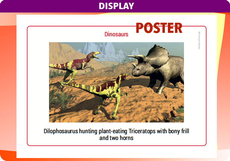 Curriculum Visions teacher dinosaurs, fossils, evolution, science history geography resource