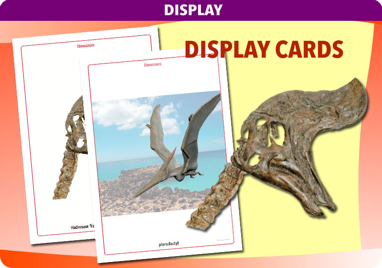 Curriculum Visions teacher dinosaurs, fossils, evolution, science history geography resource