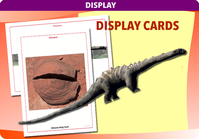 Curriculum Visions teacher dinosaurs, fossils, evolution, science history geography resource