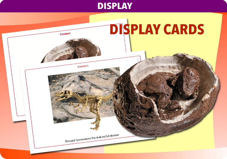 Curriculum Visions teacher dinosaurs, fossils, evolution, science history geography resource