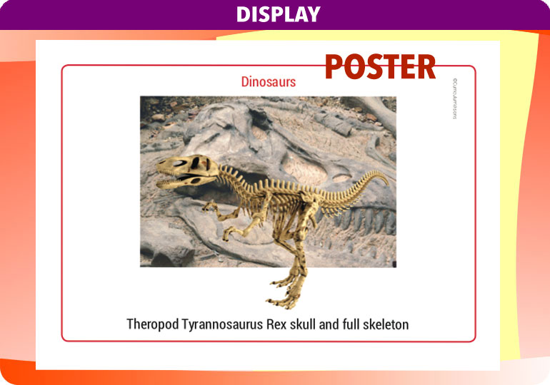 Curriculum Visions teacher dinosaurs, fossils, evolution, science history geography resource