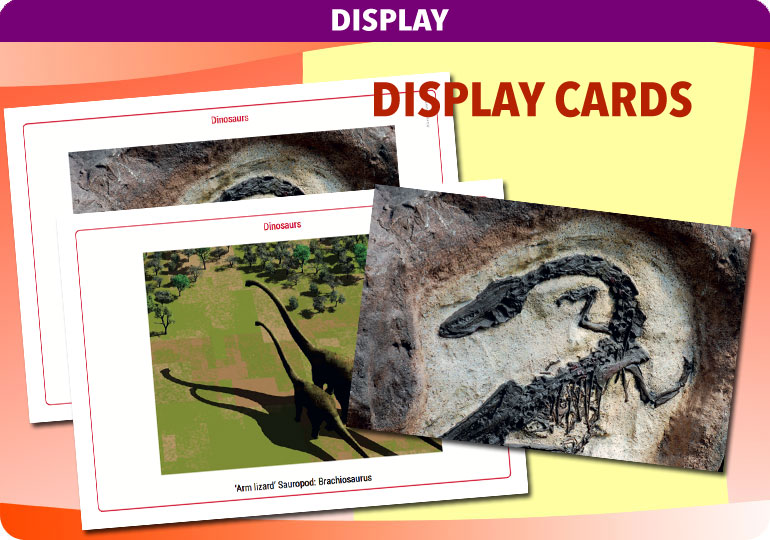 Curriculum Visions teacher dinosaurs, fossils, evolution, science history geography resource