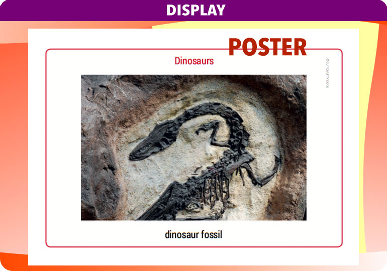 Curriculum Visions teacher dinosaurs, fossils, evolution, science history geography resource