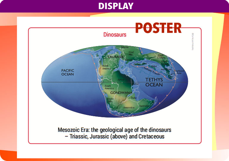 Curriculum Visions teacher dinosaurs, fossils, evolution, science history geography resource