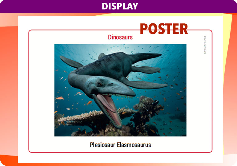 Curriculum Visions teacher dinosaurs, fossils, evolution, science history geography resource