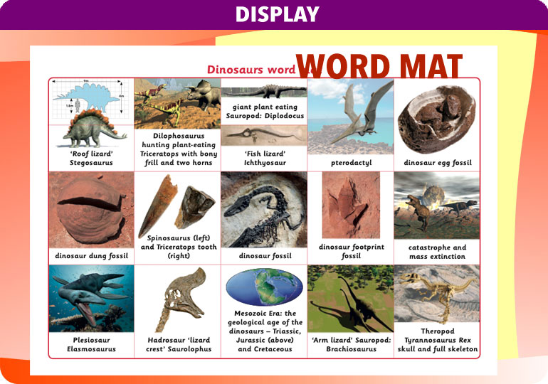 Curriculum Visions teacher dinosaurs, fossils, evolution, science history geography resource